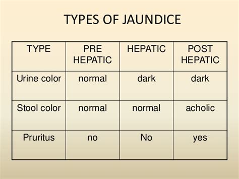 dark urine pale stools jaundice.